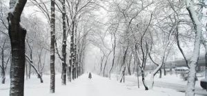 Satışlarınızı arttırmak için Fuara katılın